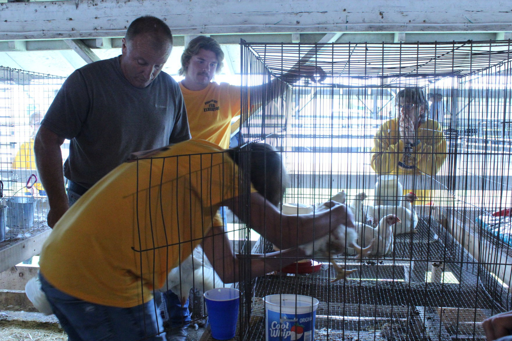Poultry Show 9